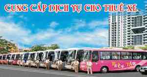 album anh hoa mai